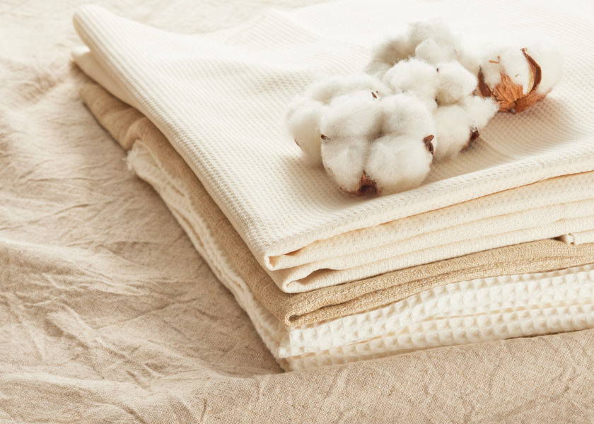 India Extends Duty-Free Cotton Imports to Ease Tariff Impact on Textile Exporters